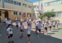 img (14)